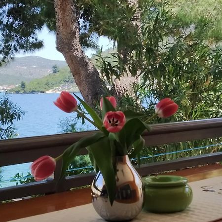 Holiday Home Milenka Rogoznica  Exterior photo